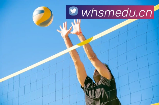 kaiyun.com官网地址品牌故事