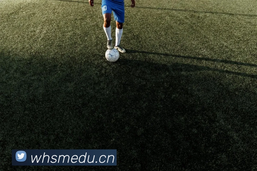 kaiyun.com官网地址服务体系